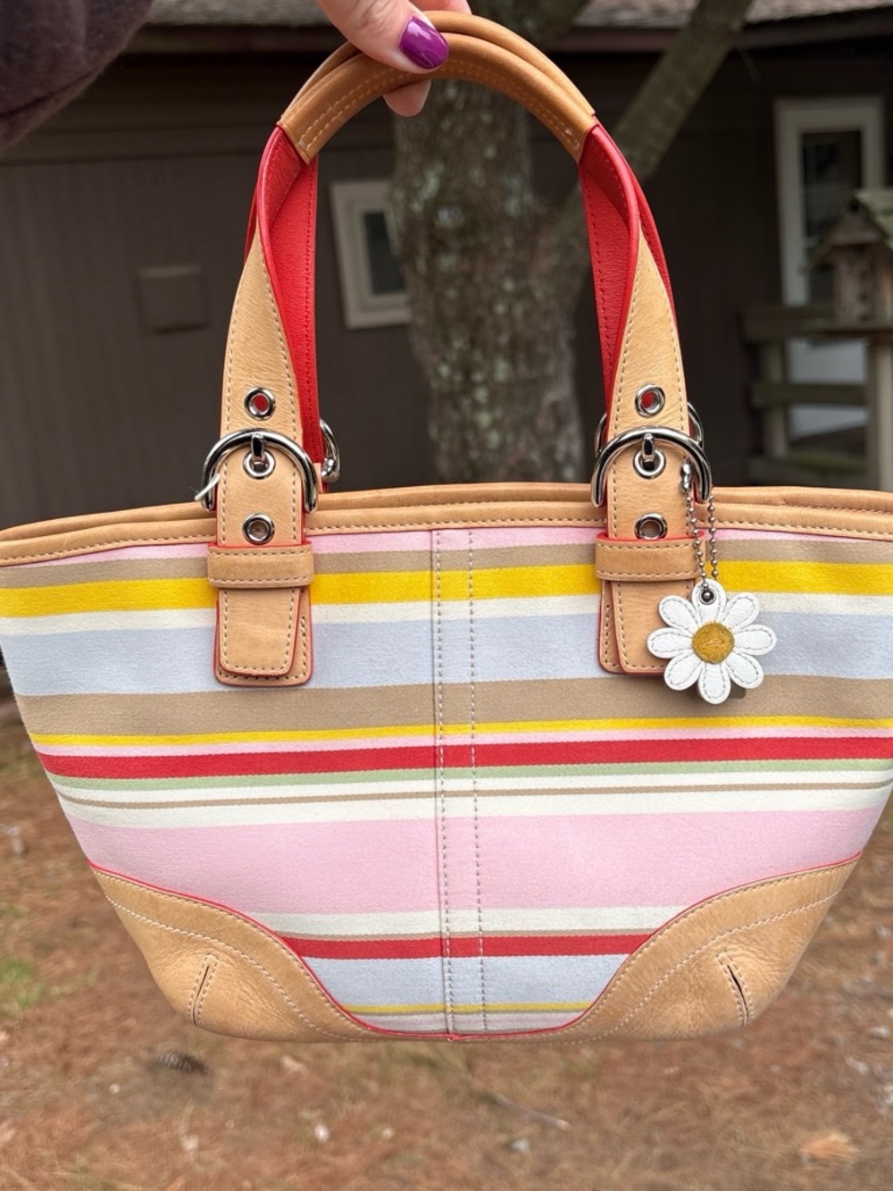 Coach Hamptons Daisy Striped Mini Tote